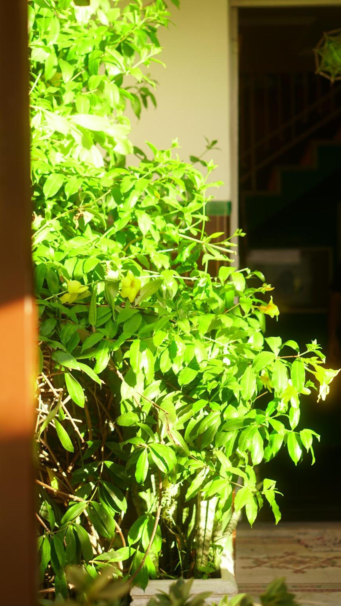 Poa Eco Hostel Porto Alegre Exterior photo